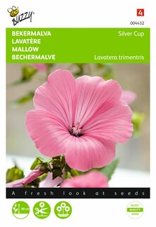 Buzzy® zaden - Lavatera, Bekermalva Silver Cup - afbeelding 1