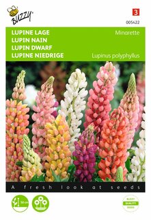 Buzzy® zaden - Lupinus, lage Lupine Minarette - afbeelding 2