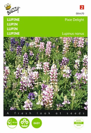 Buzzy® zaden - Lupinus, Lupine Pixie Delight gemengd - afbeelding 1