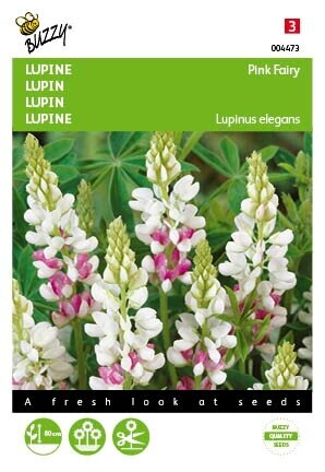 Buzzy® zaden - Lupinus, Lupine Rose laag Pink Fairy - afbeelding 1