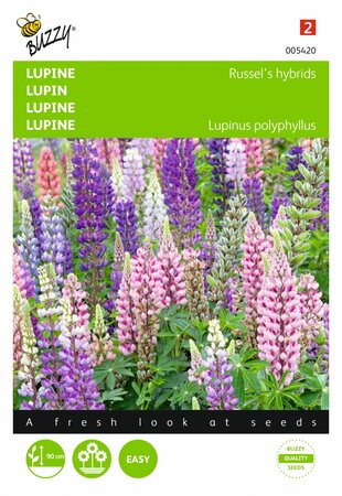 Buzzy® zaden - Lupinus, Lupine Russel’s Hybrids gemengd - afbeelding 1