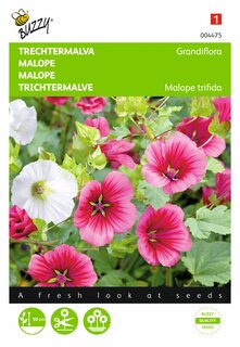 Buzzy® zaden - Malope, Trechtermalva Grandiflora gemengd - afbeelding 1