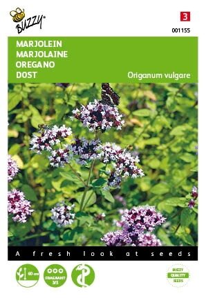 Buzzy® zaden - Marjolein - Oregano - afbeelding 1