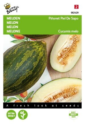 Buzzy® zaden - Meloenen Piñonet Piel De Sapo - afbeelding 1