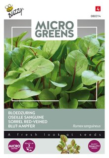 Buzzy® zaden - Microgreens, Bloedzuring - afbeelding 2