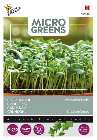 Buzzy® zaden - Microgreens, Boerenkool Westlandse Herfst - afbeelding 1