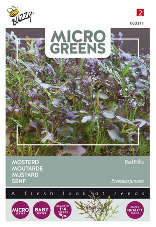 Buzzy® zaden - Microgreens, Mosterd Red Frills - afbeelding 1