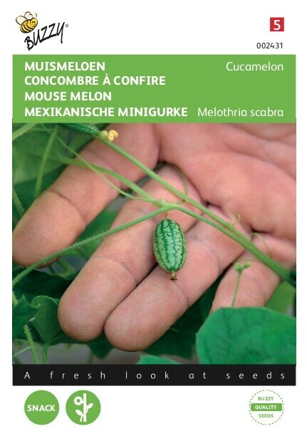 Buzzy® zaden - Muismeloen, Cucamelon - afbeelding 1