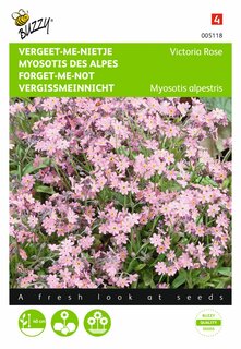 Buzzy® zaden - Myosotis, 'vergeet-me-nietje' Victoria Rose - afbeelding 1