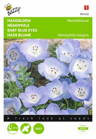 Buzzy® zaden - Nemophila, Haagbloem Hemelsblauw - afbeelding 1