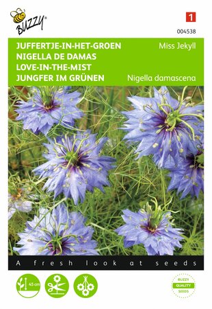 Buzzy® zaden - Nigella, Juffertje-in-het-groen Miss Jekyll blauw - afbeelding 1