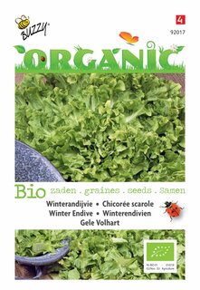 Buzzy® zaden - Organic Andijvie Gele Volhart  (BIO) - afbeelding 4