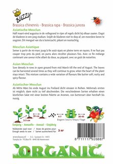 Buzzy® zaden - Organic Aziatische Mesclun (BIO) - afbeelding 2
