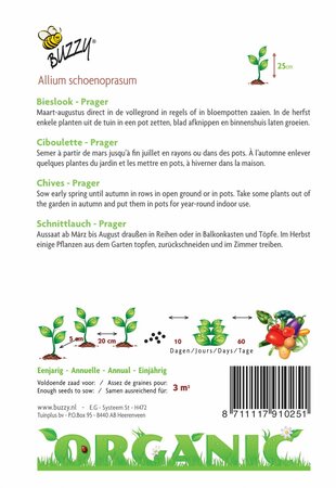 Buzzy® zaden - Organic Bieslook Prager  (BIO) - afbeelding 4