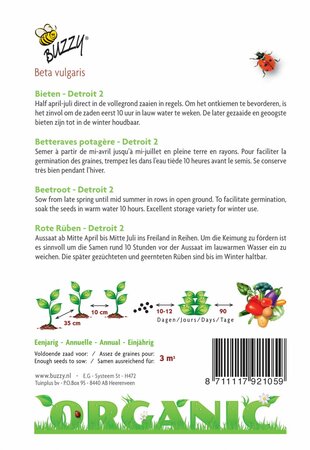 Buzzy® zaden - Organic Bieten Detroit 2  (BIO) - afbeelding 4