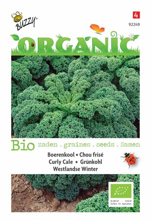 Buzzy® zaden - Organic Boerenkool Westlandse Winter  (BIO) - afbeelding 1