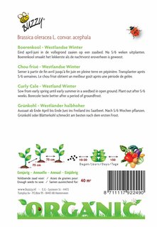 Buzzy® zaden - Organic Boerenkool Westlandse Winter  (BIO) - afbeelding 2