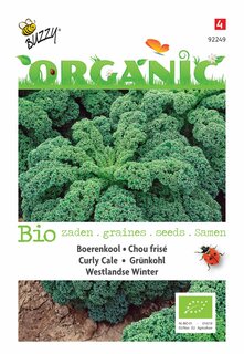 Buzzy® zaden - Organic Boerenkool Westlandse Winter  (BIO) - afbeelding 3