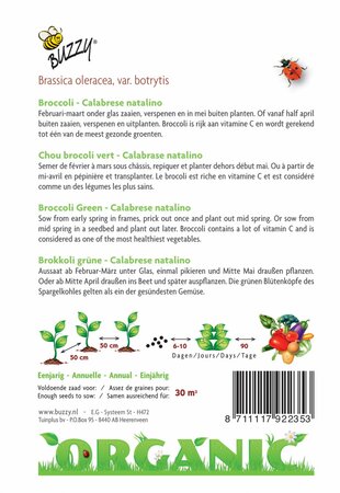 Buzzy® zaden - Organic Broccoli Calabrese natalino (BIO) - afbeelding 2