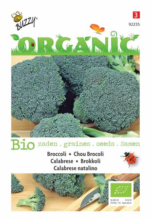 Buzzy® zaden - Organic Broccoli Calabrese natalino (BIO) - afbeelding 3