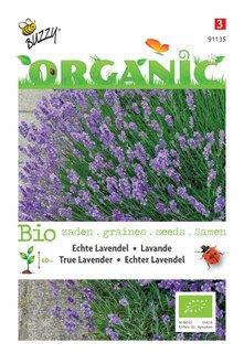 Buzzy® zaden - Organic Echte Lavendel  (BIO) - afbeelding 1