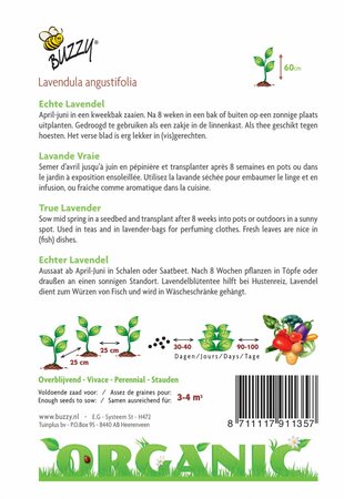 Buzzy® zaden - Organic Echte Lavendel  (BIO) - afbeelding 4