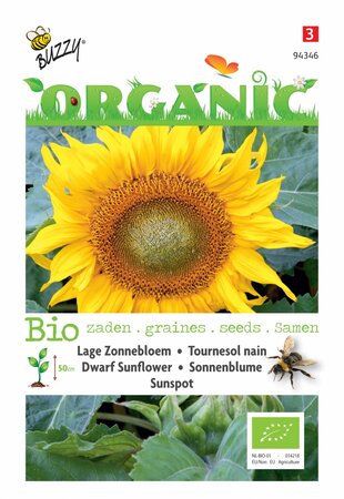 Buzzy® zaden - Organic Helianthus, Lage zonnebloem Sunspot (BIO) - afbeelding 1