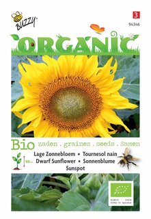 Buzzy® zaden - Organic Helianthus, Lage zonnebloem Sunspot (BIO) - afbeelding 4