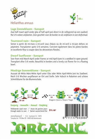 Buzzy® zaden - Organic Helianthus, Lage zonnebloem Sunspot (BIO) - afbeelding 4