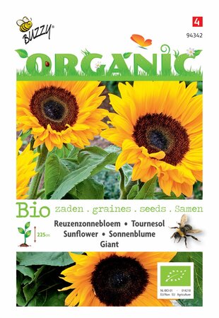Buzzy® zaden - Organic Helianthus, Reuzenzonnebloem giganteus  (BIO) - afbeelding 1