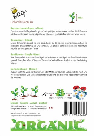 Buzzy® zaden - Organic Helianthus, Reuzenzonnebloem giganteus  (BIO) - afbeelding 2
