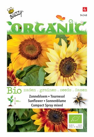 Buzzy® zaden - Organic Helianthus, Zonnebloem Compact Spray(BIO) - afbeelding 1