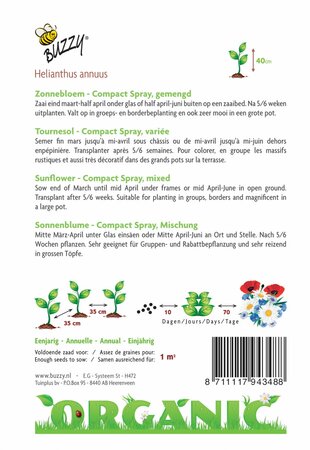 Buzzy® zaden - Organic Helianthus, Zonnebloem Compact Spray(BIO) - afbeelding 4