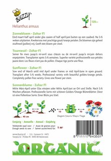 Buzzy® zaden - Organic Helianthus, Zonnebloem Zohar F1 (BIO) - afbeelding 2