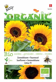 Buzzy® zaden - Organic Helianthus, Zonnebloem Zohar F1 (BIO) - afbeelding 3