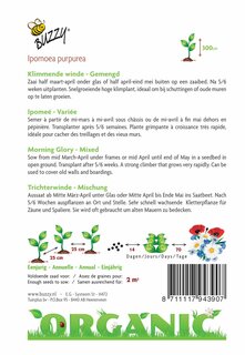 Buzzy® zaden - Organic Ipomoea, Klimmende Winde gemengd  (BIO) - afbeelding 2