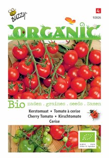 Buzzy® zaden - Organic Kerstomaten Cerise (BIO) - afbeelding 4
