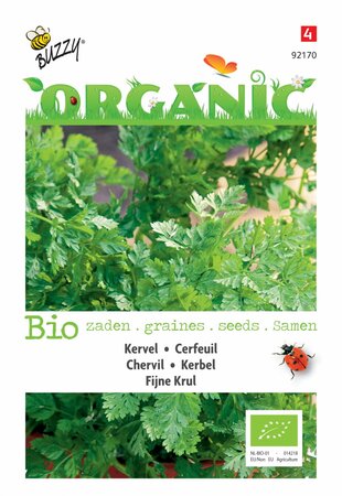 Buzzy® zaden - Organic Kervel Fijne Krul  (BIO) - afbeelding 1