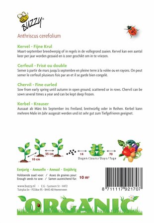 Buzzy® zaden - Organic Kervel Fijne Krul  (BIO) - afbeelding 4
