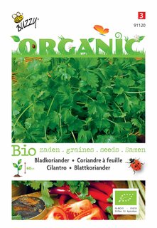 Buzzy® zaden - Organic Koriander (bladkoriander) (BIO) - afbeelding 1