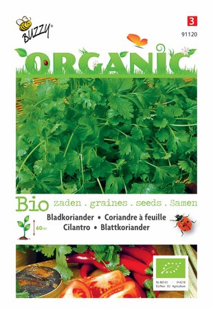 Buzzy® zaden - Organic Koriander (bladkoriander) (BIO) - afbeelding 3
