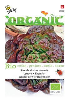 Buzzy® zaden - Organic Kropsla Wonder van Vier Jaargetijden  (BIO) - afbeelding 3