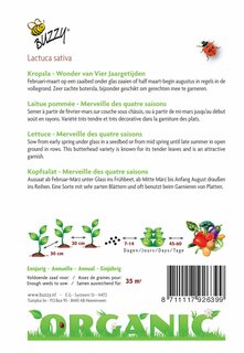 Buzzy® zaden - Organic Kropsla Wonder van Vier Jaargetijden  (BIO) - afbeelding 4