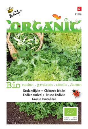 Buzzy® zaden - Organic Krulandijvie Grosse Pancalière  (BIO) - afbeelding 1