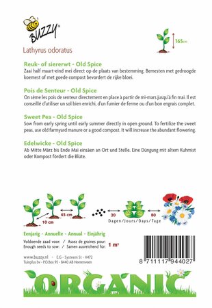 Buzzy® zaden - Organic Lathyrus, Reuk- of Siererwt Old Spice (BIO) - afbeelding 2