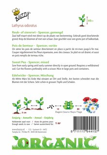 Buzzy® zaden - Organic Lathyrus, Reuk- of Siererwt Spencer (BIO) - afbeelding 4