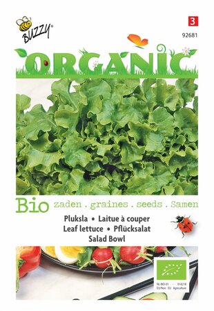 Buzzy® zaden - Organic Pluksla Salad Bowl, groen  (BIO) - afbeelding 1
