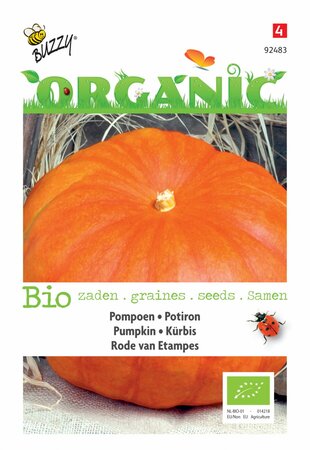 Buzzy® zaden - Organic Pompoen Rode van Etampes (BIO) - afbeelding 1
