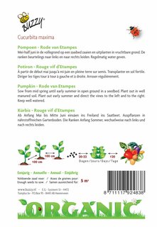 Buzzy® zaden - Organic Pompoen Rode van Etampes (BIO) - afbeelding 2