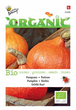 Buzzy® zaden - Organic Pompoen Uchiki Kuri  (BIO) - afbeelding 1